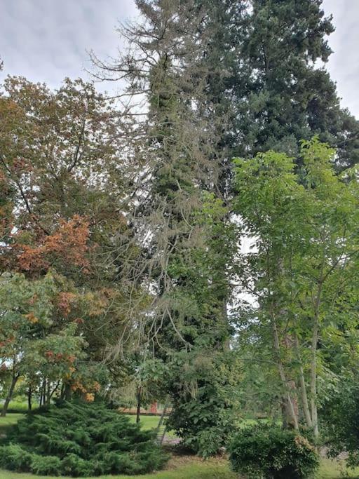 Villa Propriété de campagne à Vierzon Extérieur photo
