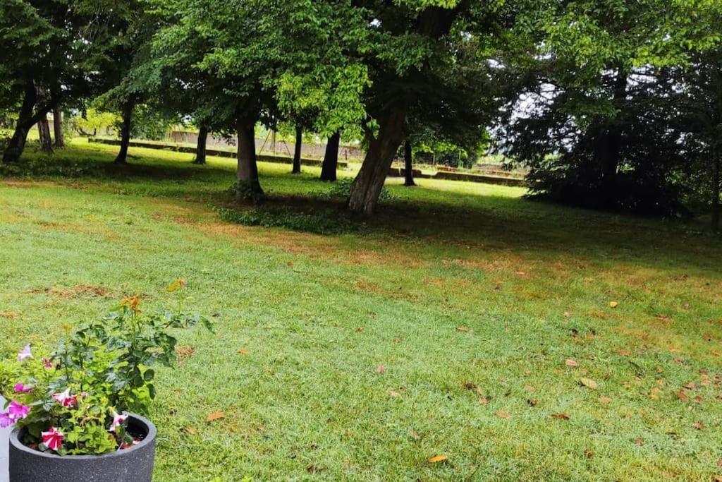 Villa Propriété de campagne à Vierzon Extérieur photo