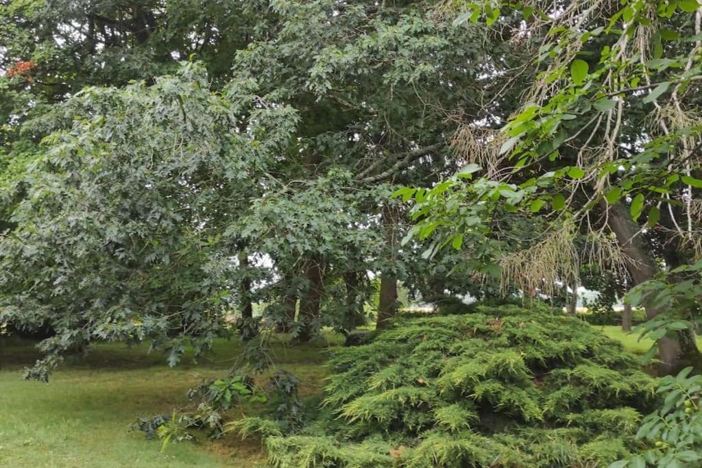 Villa Propriété de campagne à Vierzon Extérieur photo